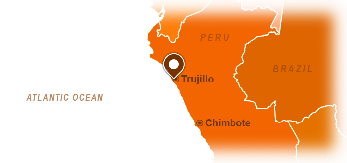 Chan Chan, Tschudi Palace