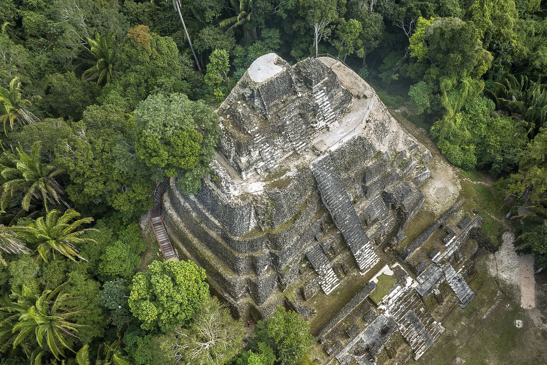 Aerial image of High Temple at Lamanai, Belize, enveloped by dense jungle. The temple, a large pyramid-like structure constructed of limestone, rises prominently above the treeline.
